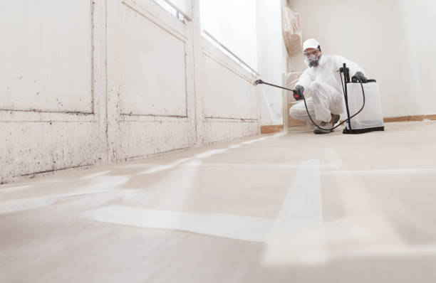 24/7 Emergency Attic Mold Remediation experts in Franklin, TN