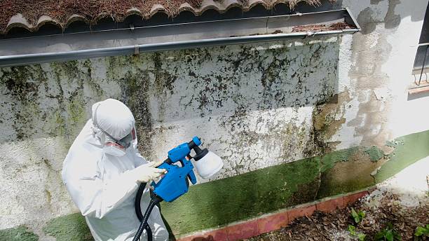 Top rated local Attic Mold Remediation specialists in Franklin, TN